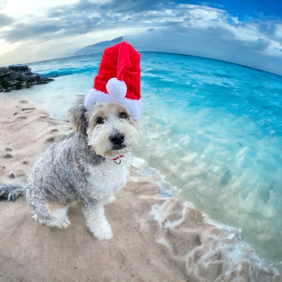 Meet your Posher, Kathy - Picture 1 of 2